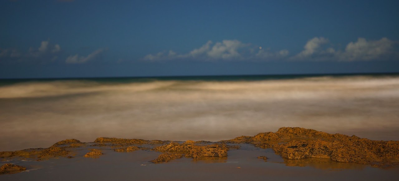 Rocky shoreline and sea
